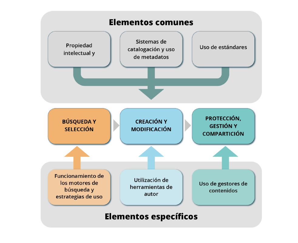 Proceso