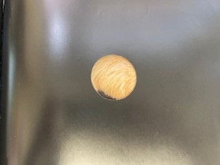 Example of a limited field of vision showing a dog but only a circular portion of the fur in the centre of the dog's back is visible.