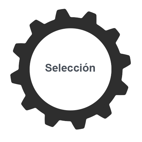 Rueda dentada con la palabra selección