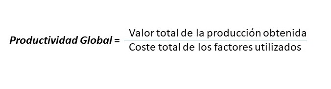 Productividad global