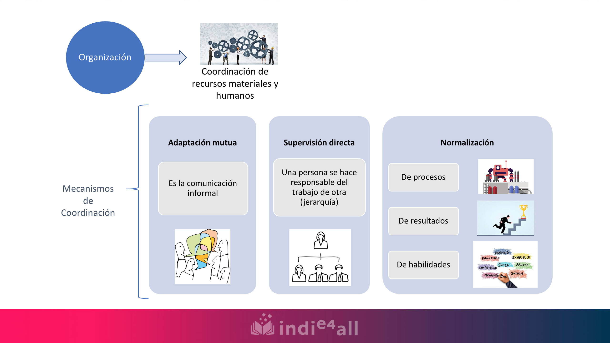 En el mapa conceptual se establece que la función de organización es la coordinación de recursos materiales y humanos.   Los mecanismos de coordinación son tres: adaptación mutua, supervisión directa y normalización.   La adaptación mutua es la comunicación informal. La supervisión directa es cuando una persona se hace responsable del trabajo de otra persona (jerarquía).  La normalización puede a su vez ser de procesos, de resultados y de habilidades.