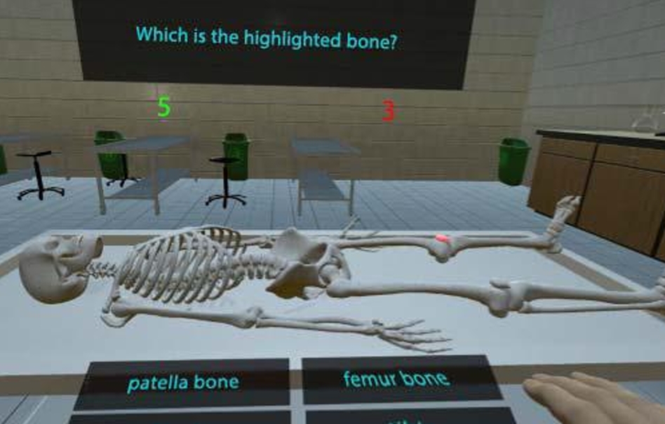 Skeleton Simulation Scenarios
